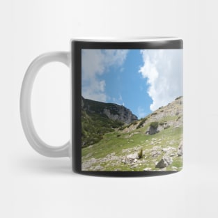 View from Bucegi mountains, Romania, Bucegi National Park Mug